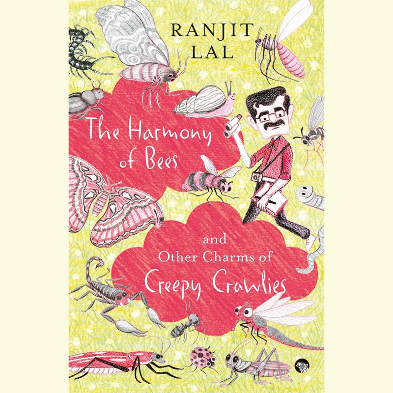 Book Extract: The Harmony of Bees