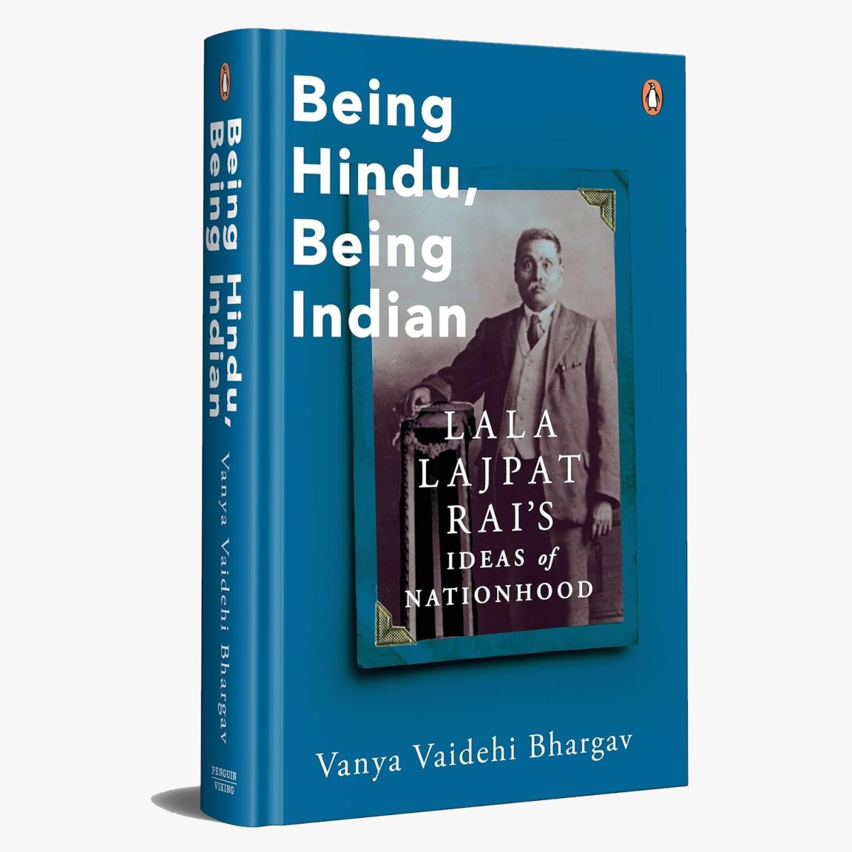 Being Hindu, Being Indian: An Excerpt